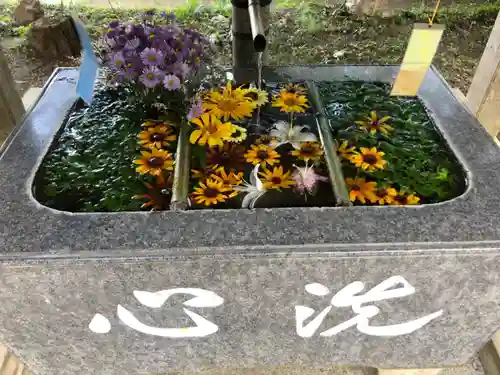 坂本八幡神社の手水