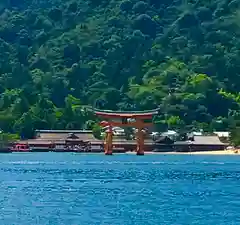 厳島神社の鳥居