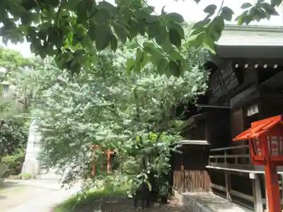 蔵前神社(東京都)