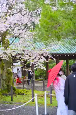 三嶋大社(静岡県)