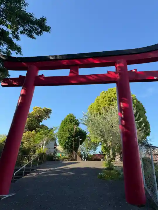 (芝生)浅間神社の{uncategorized: "未分類", other: "その他", undefined: "問題あり", building: "その他建物", grave: "お墓", sacred_gate: "鳥居", guardian: "狛犬", statue: "像", buddha: "仏像", history: "歴史", nature: "自然", garden: "庭園", animal: "動物", pagoda: "塔", temizu: "手水舎", mountain_gate: "山門・神門", sanctuary: "本殿・本堂", subordinate: "末社・摂社", art: "芸術", scenery: "景色", jizo: "地蔵", ema: "絵馬", goshuin: "御朱印", omikuji: "おみくじ", items: "授与品その他", amulet: "お守り", goshuincho: "御朱印帳", eats: "食事", festival: "お祭り", votive_dance: "神楽", shichigosan: "七五三参", wedding: "結婚式", experience: "体験その他", initially: "初詣", around: "周辺", anti_infection: "感染症対策"}
