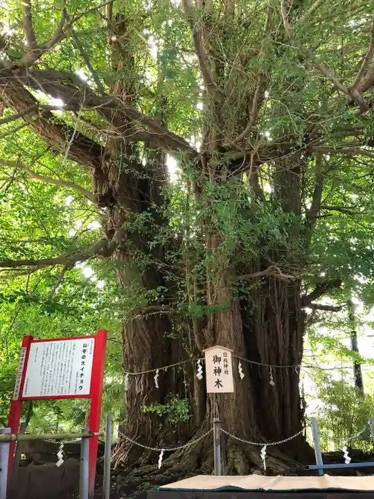 山寺日枝神社(山形県)