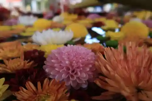 石清水八幡宮の手水舎