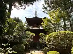 久米寺(奈良県)