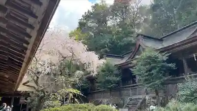 吉野水分神社(吉野町)の本殿・本堂