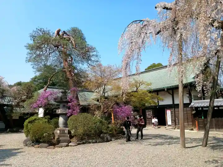 喜多院の{uncategorized: "未分類", other: "その他", undefined: "問題あり", building: "その他建物", grave: "お墓", sacred_gate: "鳥居", guardian: "狛犬", statue: "像", buddha: "仏像", history: "歴史", nature: "自然", garden: "庭園", animal: "動物", pagoda: "塔", temizu: "手水舎", mountain_gate: "山門・神門", sanctuary: "本殿・本堂", subordinate: "末社・摂社", art: "芸術", scenery: "景色", jizo: "地蔵", ema: "絵馬", goshuin: "御朱印", omikuji: "おみくじ", items: "授与品その他", amulet: "お守り", goshuincho: "御朱印帳", eats: "食事", festival: "お祭り", votive_dance: "神楽", shichigosan: "七五三参", wedding: "結婚式", experience: "体験その他", initially: "初詣", around: "周辺", anti_infection: "感染症対策"}