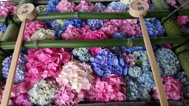 唐澤山神社の手水舎