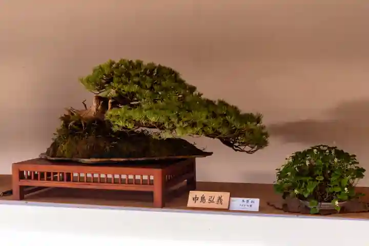 彌彦神社の自然