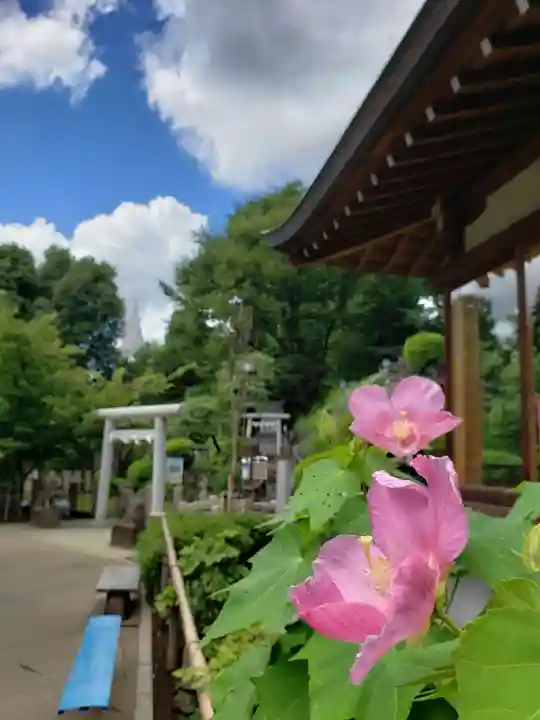 鳩森八幡神社のその他建物