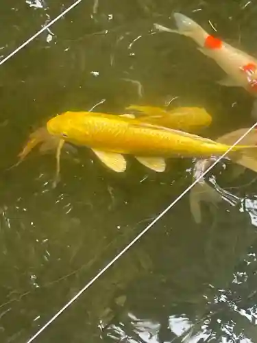 八剱八幡神社(千葉県)
