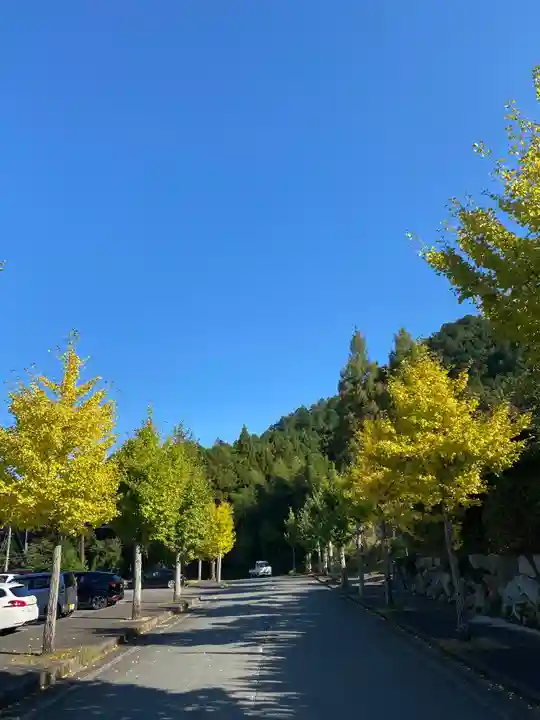 天徳寺(福井県)