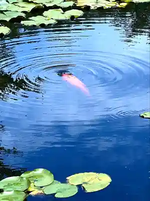 倶梨迦羅神社(長野県)