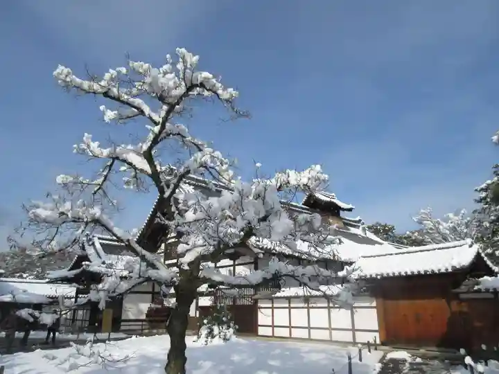 鹿苑寺(金閣寺)の自然