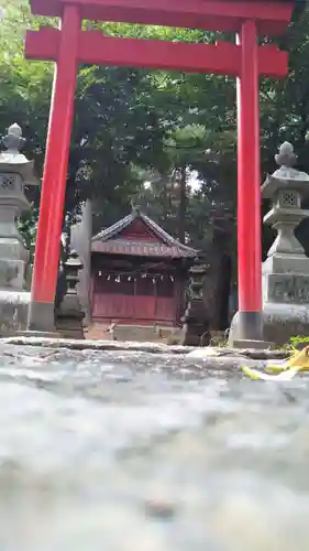 前玉神社の鳥居