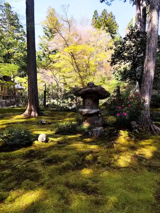 三千院門跡(京都府)