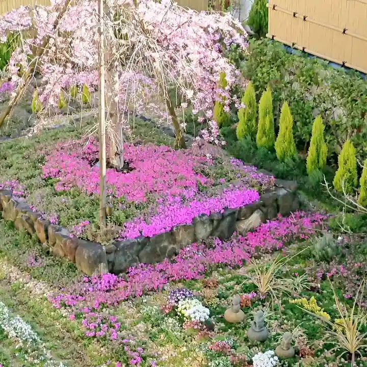 寿量山 速成寺の自然