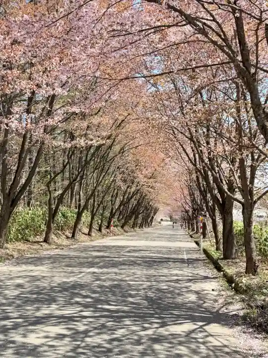岩木山神社の{uncategorized: "未分類", other: "その他", undefined: "問題あり", building: "その他建物", grave: "お墓", sacred_gate: "鳥居", guardian: "狛犬", statue: "像", buddha: "仏像", history: "歴史", nature: "自然", garden: "庭園", animal: "動物", pagoda: "塔", temizu: "手水舎", mountain_gate: "山門・神門", sanctuary: "本殿・本堂", subordinate: "末社・摂社", art: "芸術", scenery: "景色", jizo: "地蔵", ema: "絵馬", goshuin: "御朱印", omikuji: "おみくじ", items: "授与品その他", amulet: "お守り", goshuincho: "御朱印帳", eats: "食事", festival: "お祭り", votive_dance: "神楽", shichigosan: "七五三参", wedding: "結婚式", experience: "体験その他", initially: "初詣", around: "周辺", anti_infection: "感染症対策"}