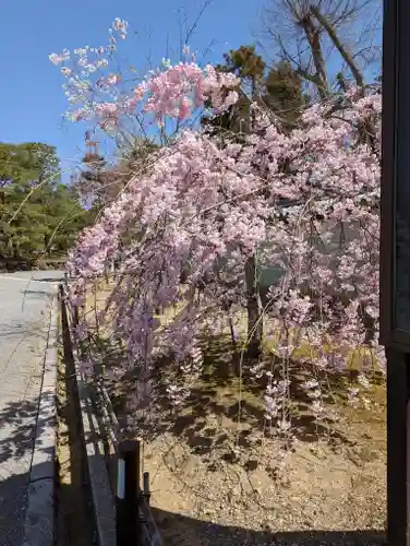 仁和寺(京都府)