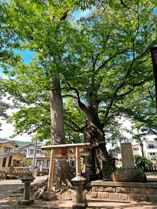 美和神社(長野県)