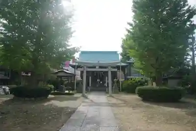 西新井氷川神社の鳥居