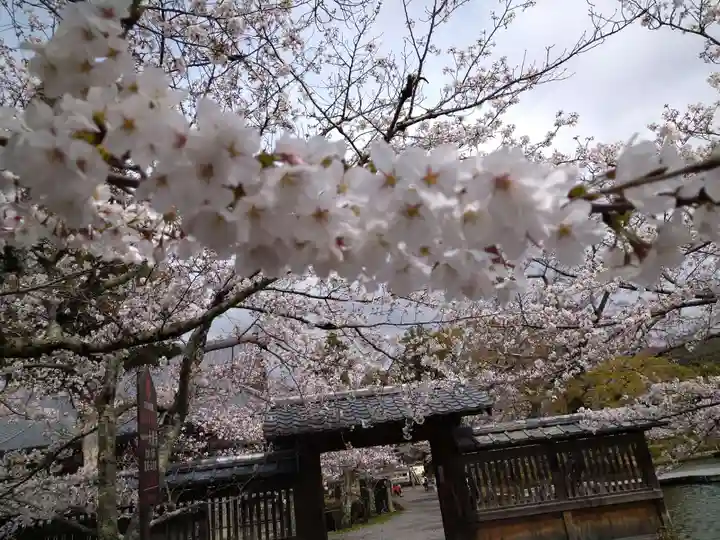 大覚寺(京都府)