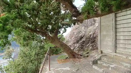 雲見浅間神社の自然