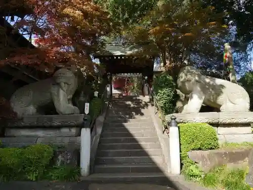 善養寺（善養密寺）の狛犬