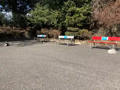 唐澤山神社(栃木県)