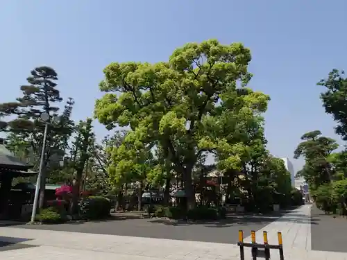 六郷神社の自然