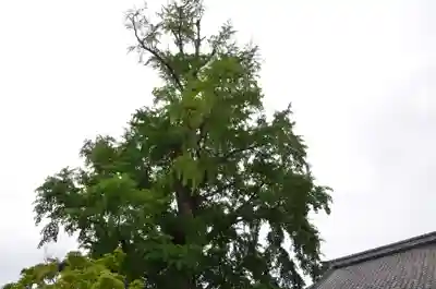 大福田寺(三重県)