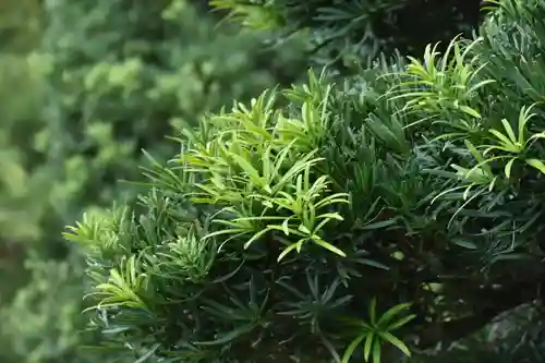 正安寺(神奈川県)