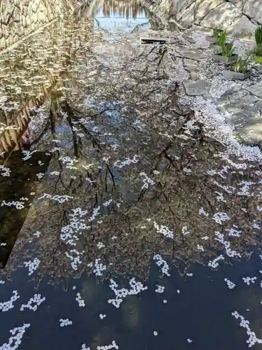 鹿の井出水 水神様の自然