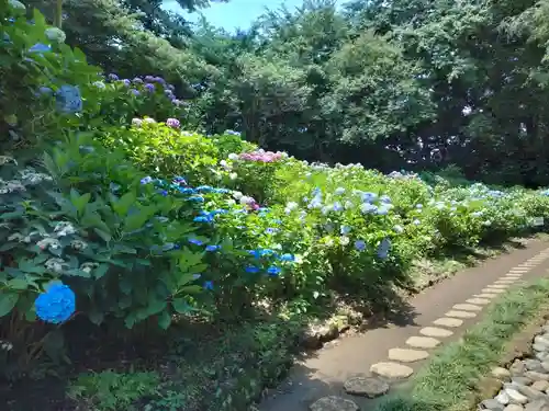妙楽寺(神奈川県)
