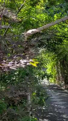 梨木神社(京都府)