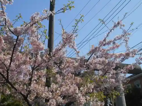 五所神社(神奈川県)