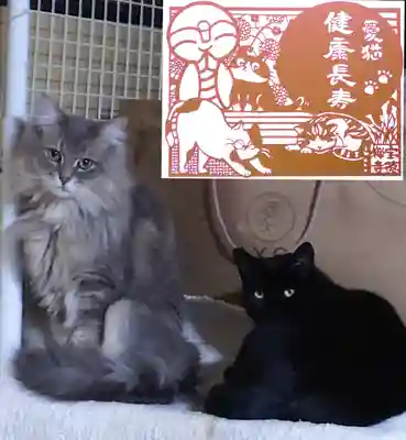 😺愛猫健康長寿 切り絵御朱印😺