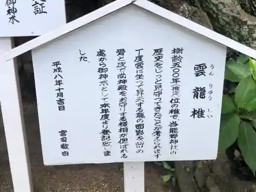 高塚熊野神社の歴史