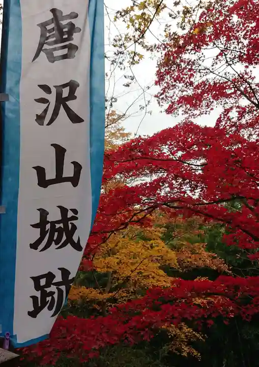 唐澤山神社の自然