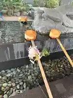 亀ケ池八幡宮(神奈川県)