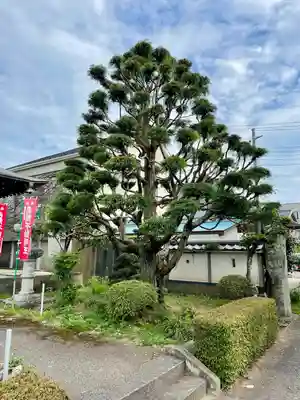 開雲寺(栃木県)