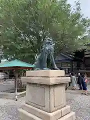 尾山神社の狛犬