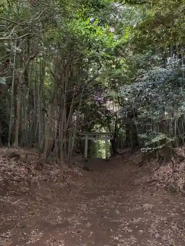 鳥見神社(千葉県)