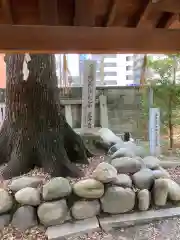 金山神社の建物その他