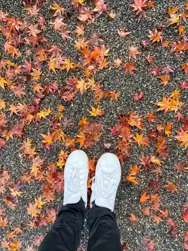 冠稲荷神社(群馬県)