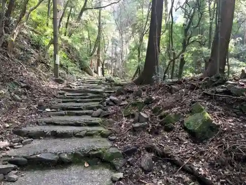 大本山七宝瀧寺の自然