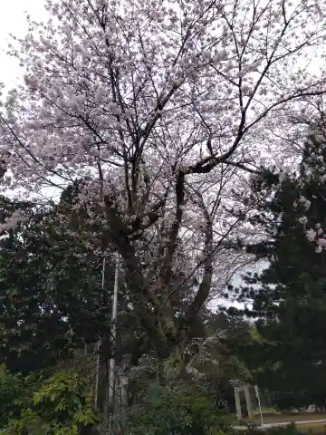 八幡神社(福井県)