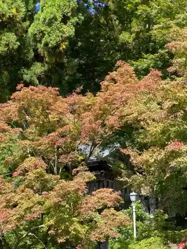 神峯寺の景色