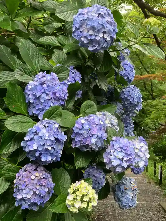高幡不動尊 金剛寺(東京都)