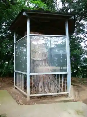 長浜神社の自然