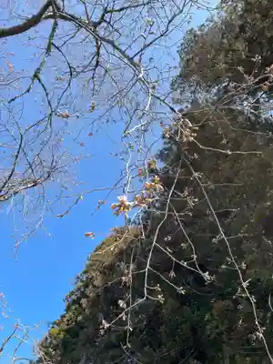 北野神社(福島県)